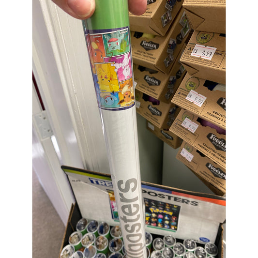 Pokemon Poster 2 Types