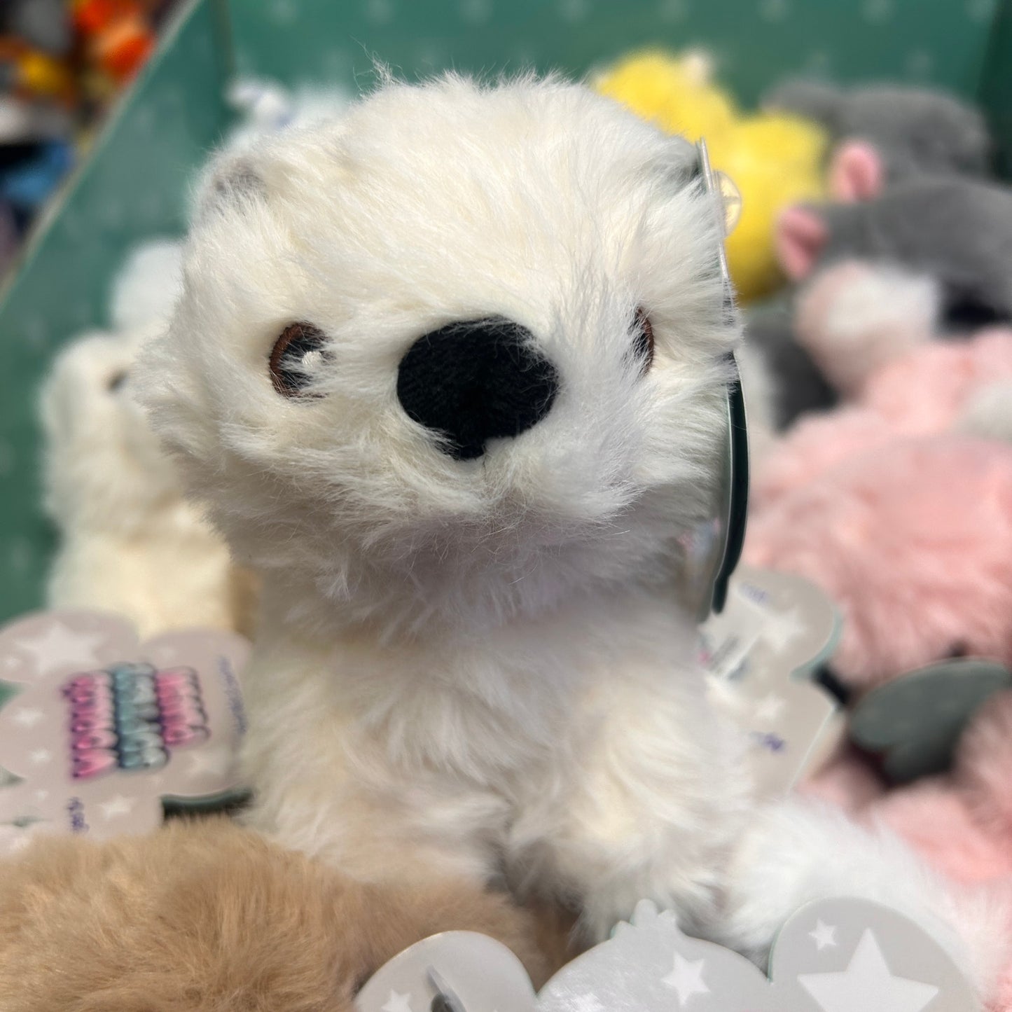 Worlds Softest Plush