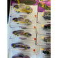 Hot Wheels Pearl & Chrome Vehicle 2025 Ver Single Blister Pack