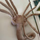 Think Geek Face Hugger Alien Plush