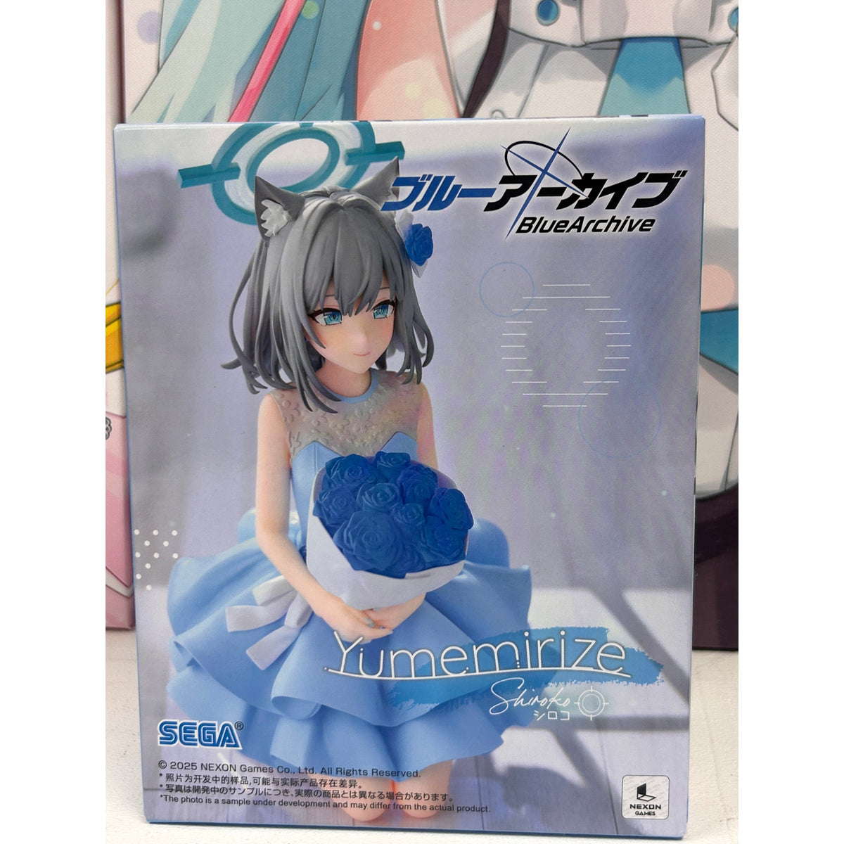 SEGA Blue Archive Shiroko from Yumemirize