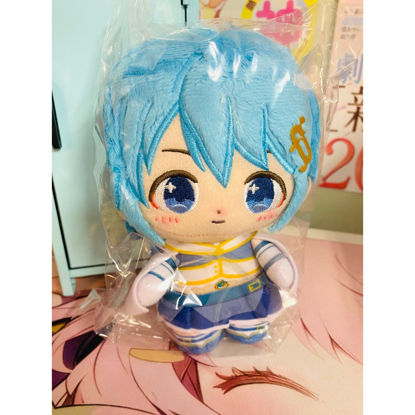 Purinuitacchi Dream Puella Magi Madoka Beginnings Eternal Sayaka Miki Plush