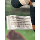 Pokémon Center Rika Plush Mascot – Pokémon Trainers 2023