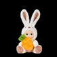 Sonny Angel Huggable Rabbit & Cuddly Bear