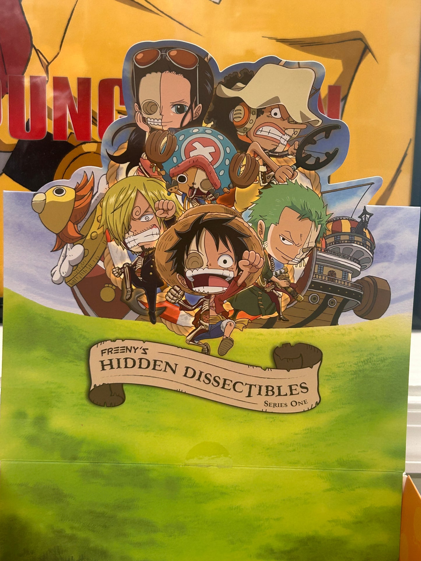 One Piece Hidden Dissectibles Series 1 Display Box