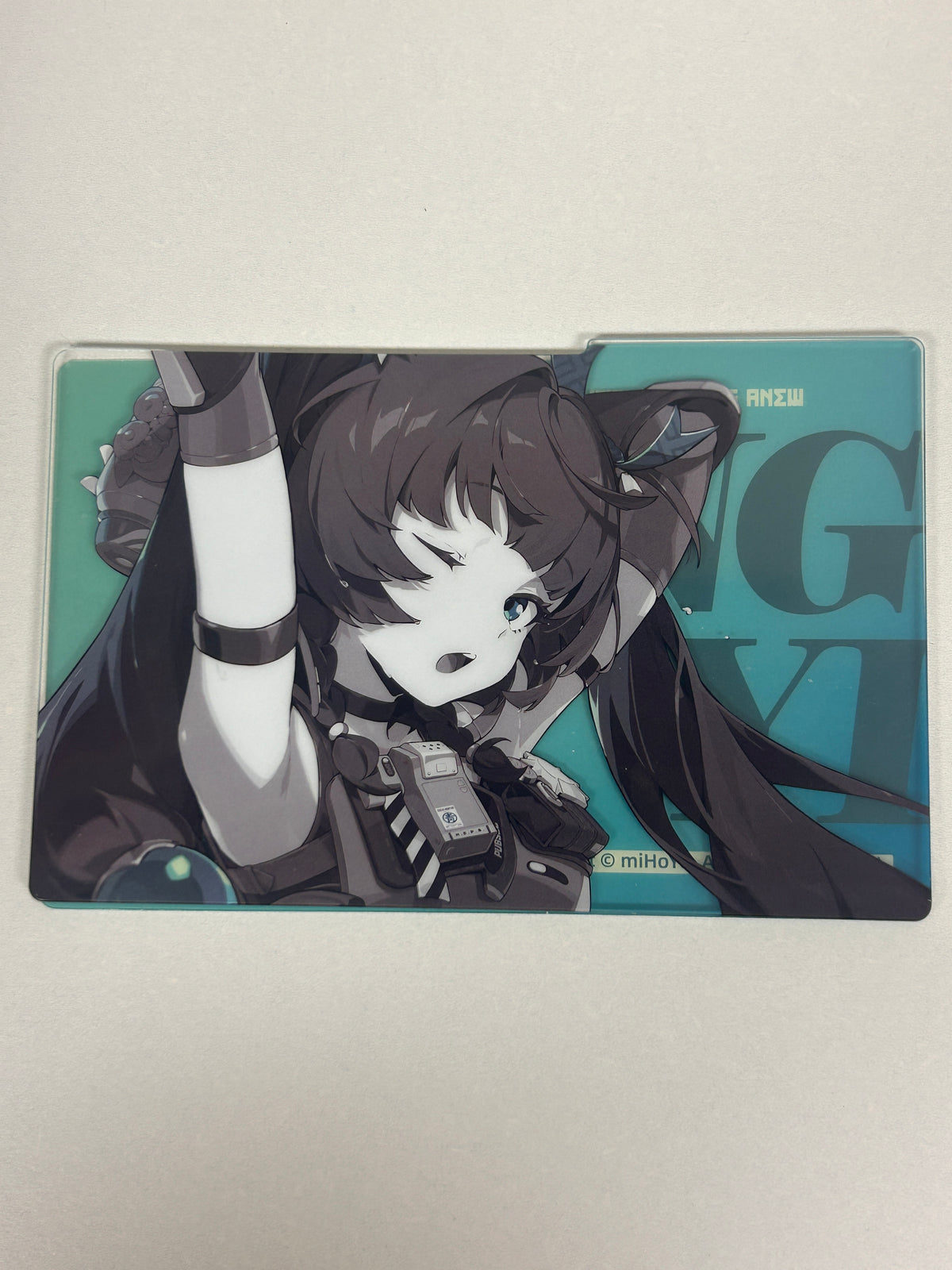 Zenless Zone Zero Qingyi Clear Acrylic Card File Folder Set