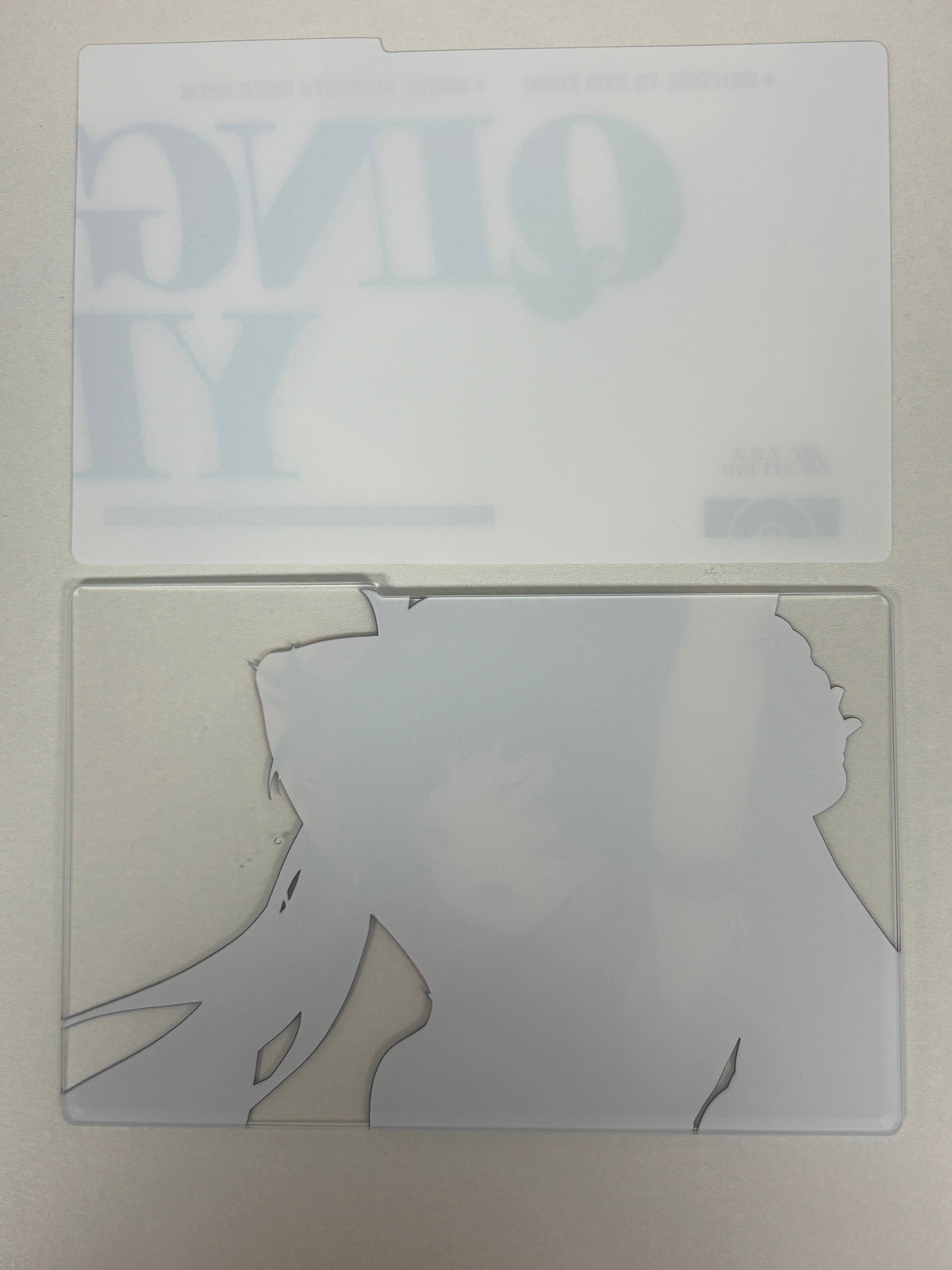 Zenless Zone Zero Qingyi Clear Acrylic Card File Folder Set