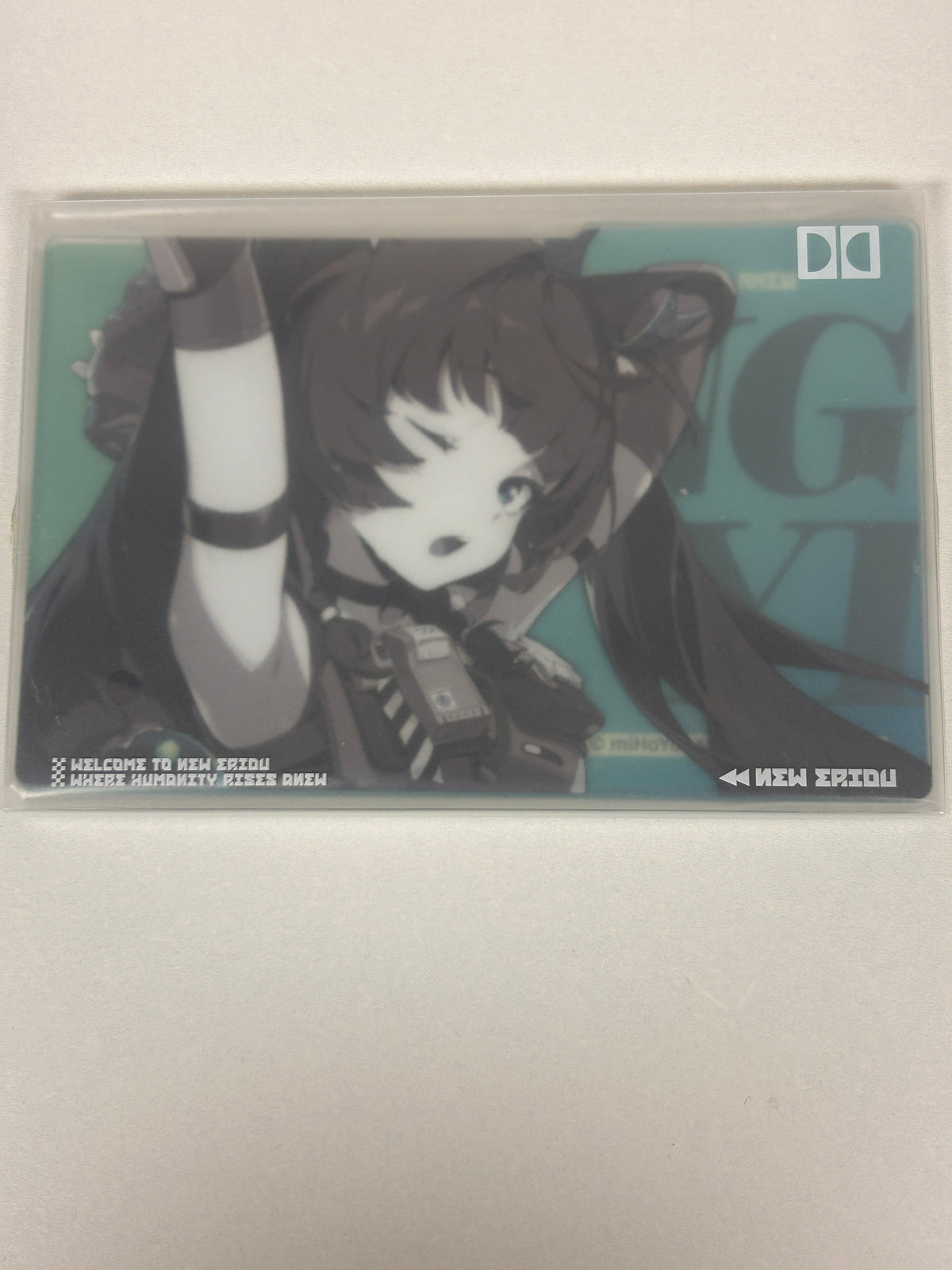 Zenless Zone Zero Qingyi Clear Acrylic Card File Folder Set