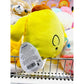 Squishmallow Pompompurin Heart Cookie