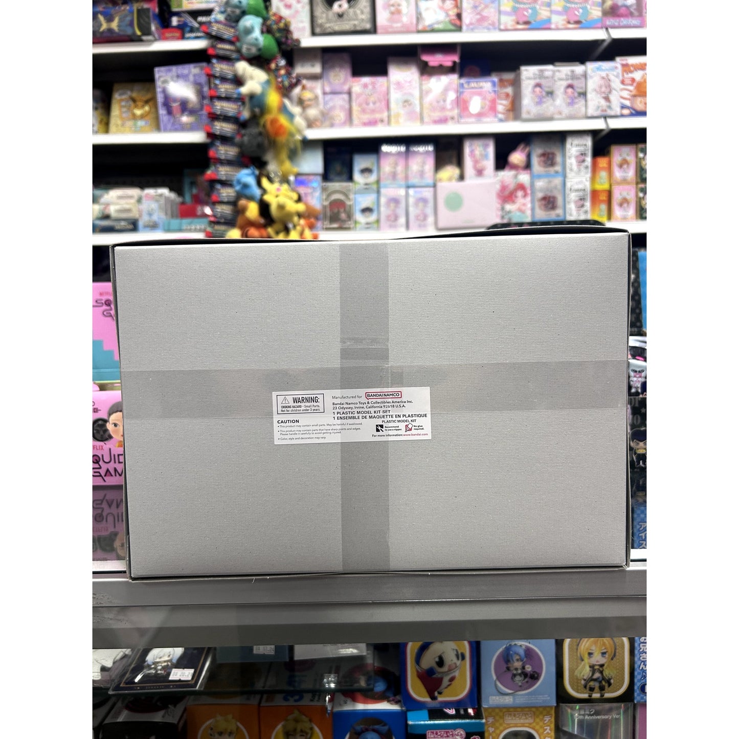 Pokemon Charizard& Dragonite / Dracaufea& Dracolosse Model Kit
