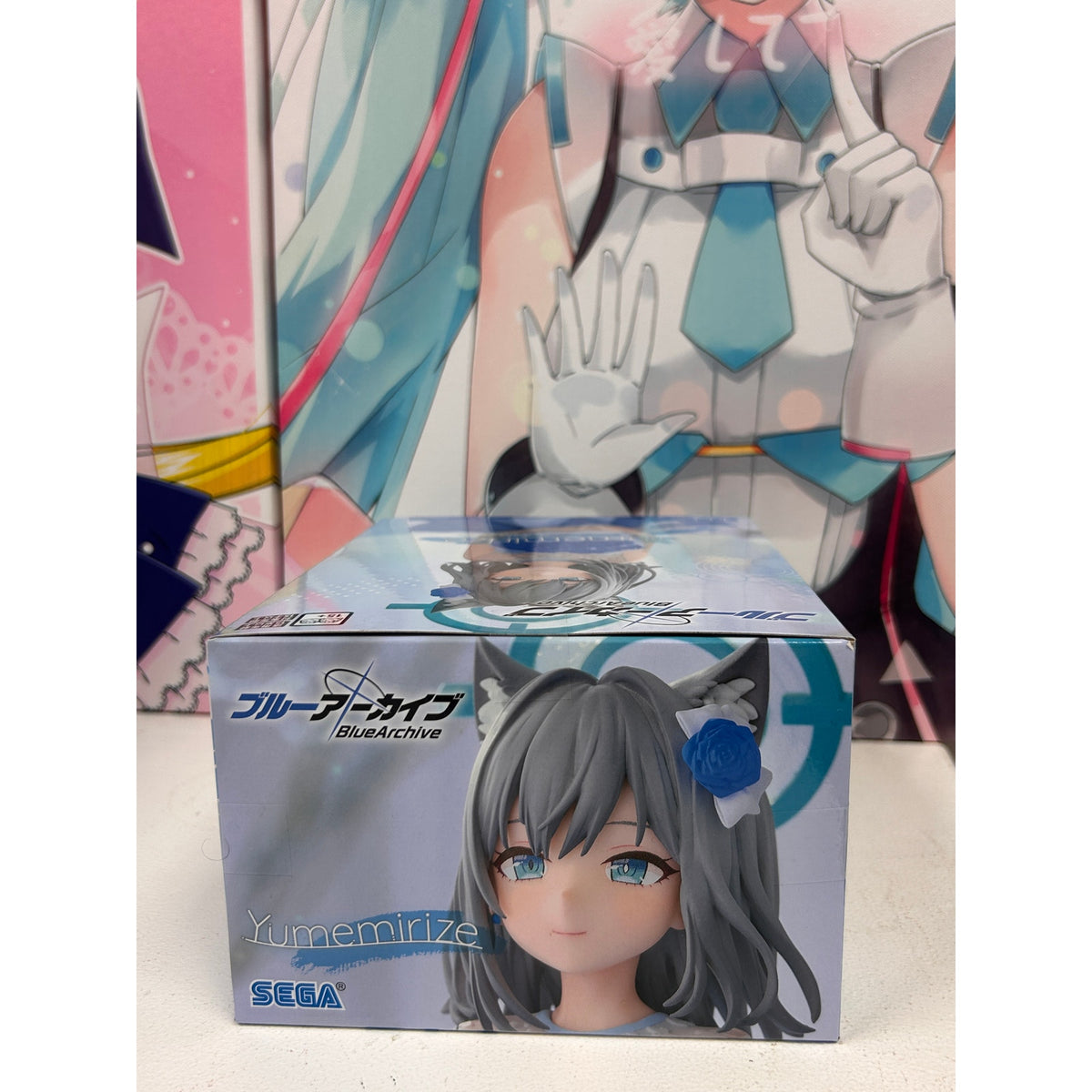 SEGA Blue Archive Shiroko from Yumemirize