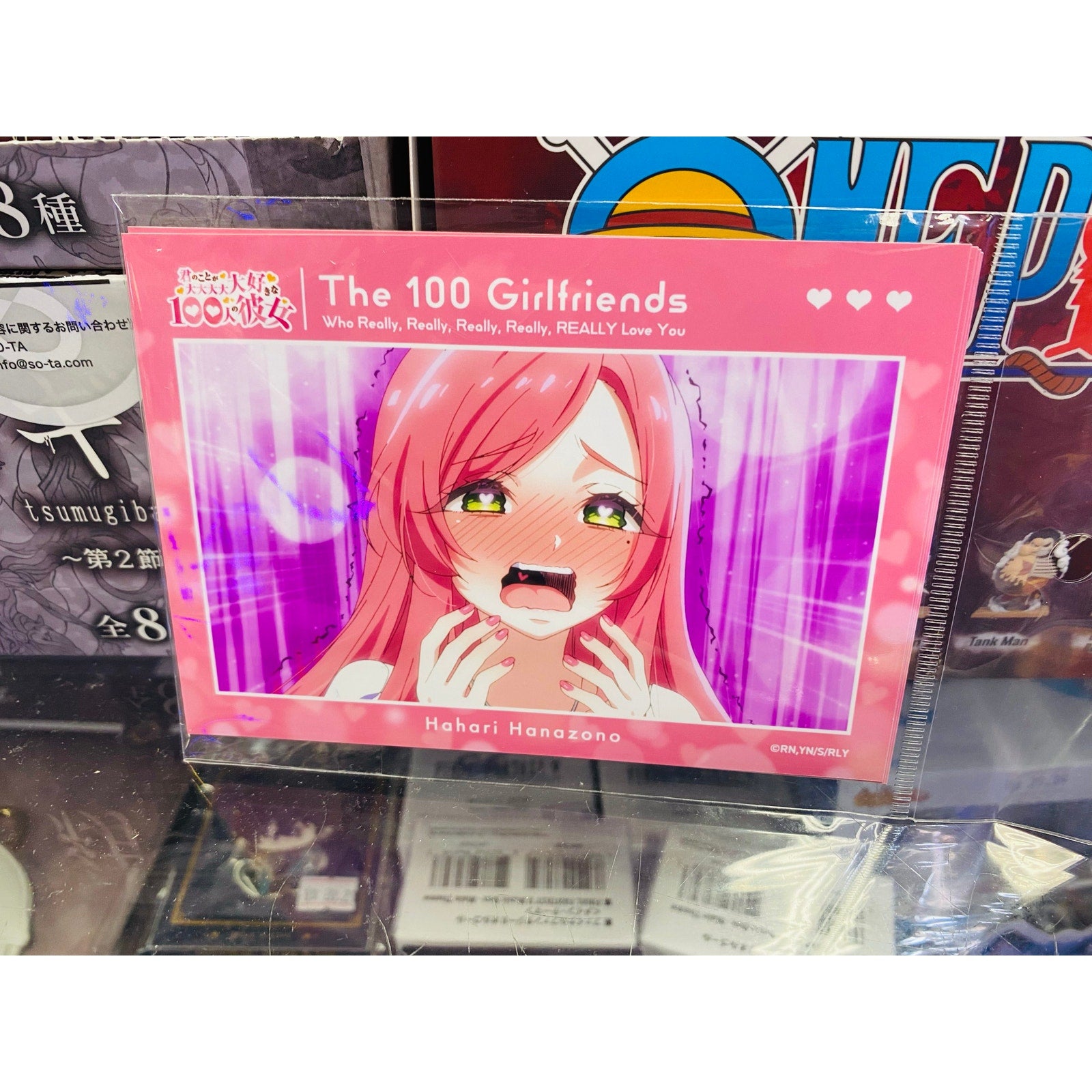 100 Girlfriends That Really Really Really Really Really Love You Bromide Hahari