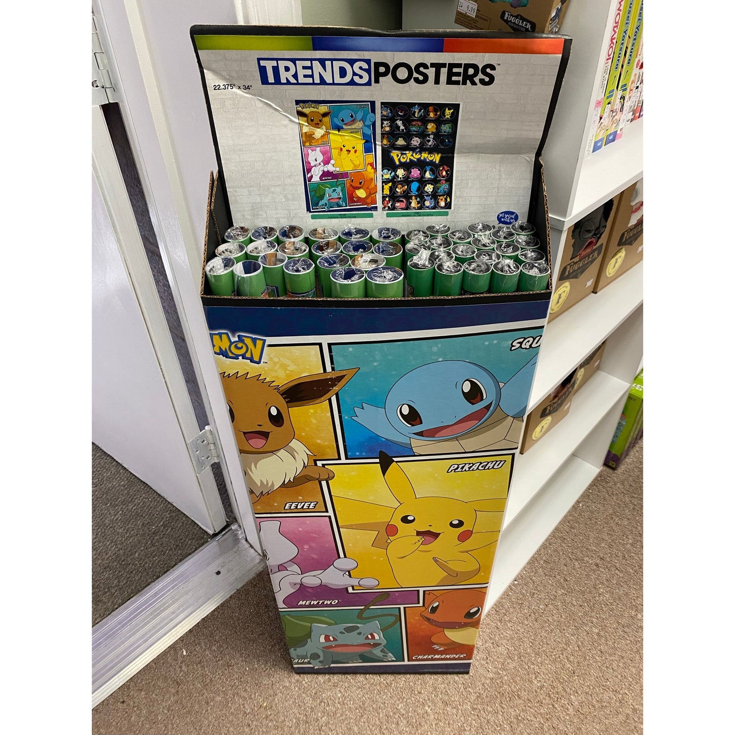 Pokemon Poster 2 Types