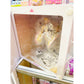 Princess Connect! Re:Dive Pecorine 1/7 Scale Figure