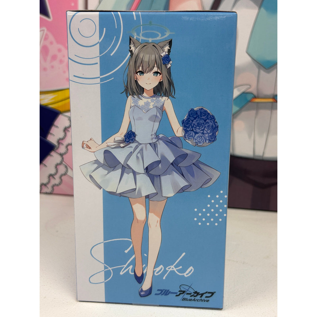 SEGA Blue Archive Shiroko from Yumemirize
