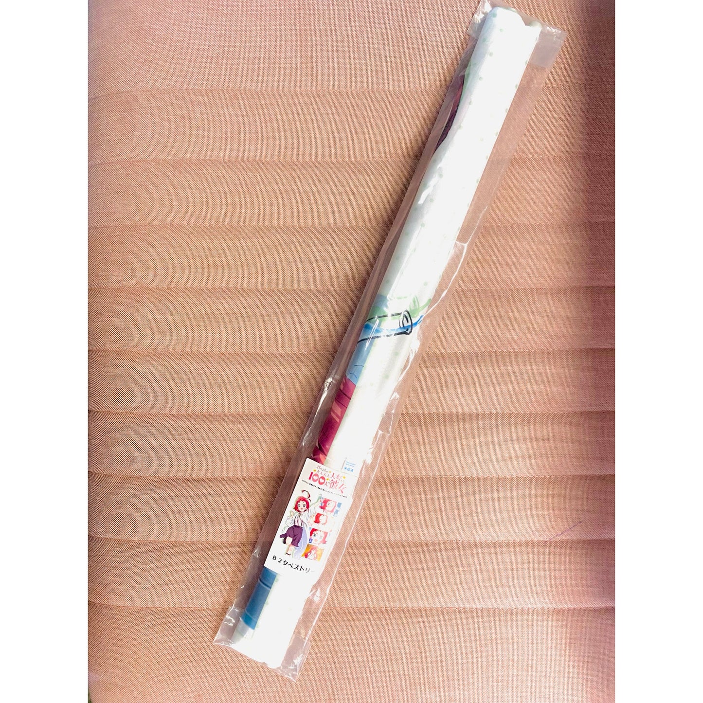100 Girlfriends That Really Really Really Really Really Love You Wall Scroll 1