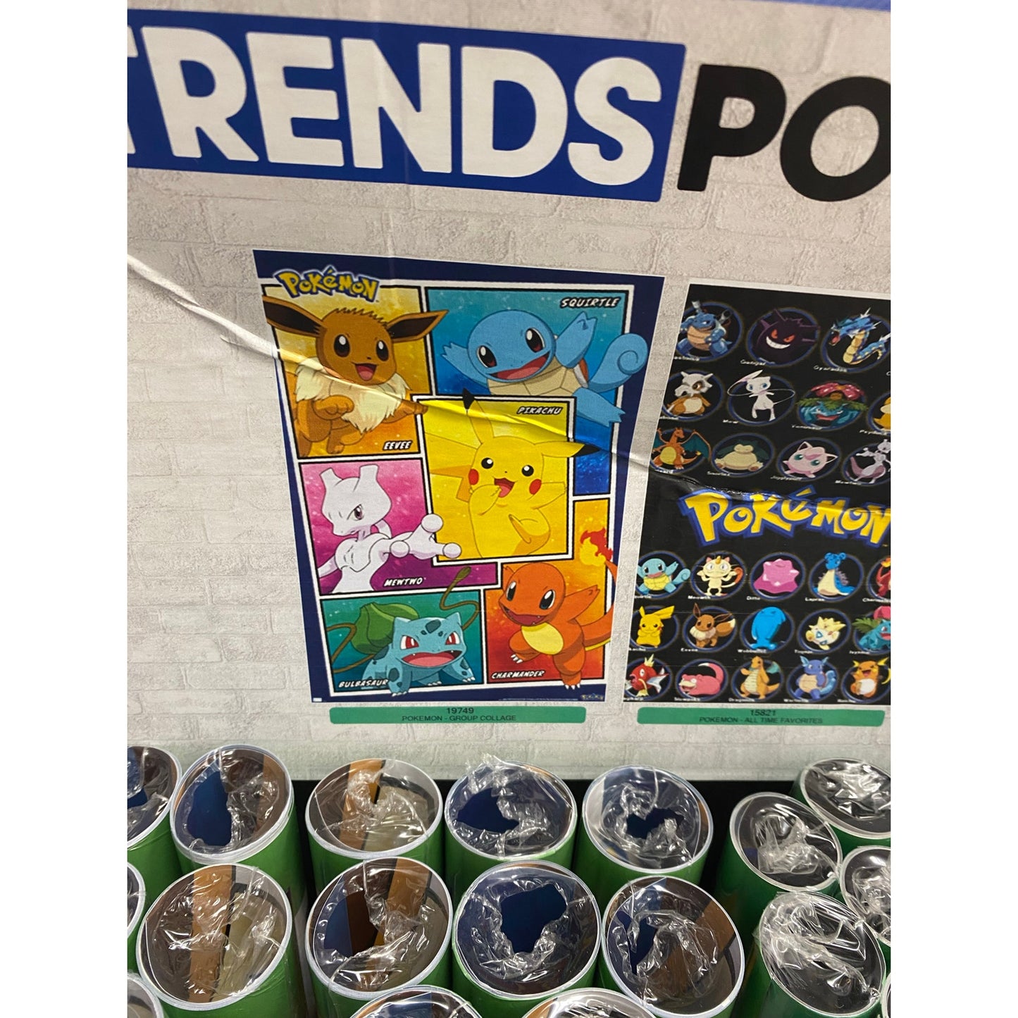 Pokemon Poster 2 Types