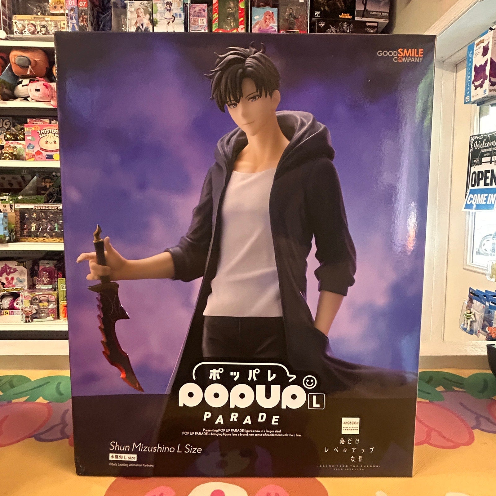 Solo Leveling Sung Jinwoo